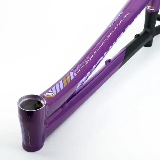 Stay Strong V5 Disc Only Frame 2025 Purple/Black
